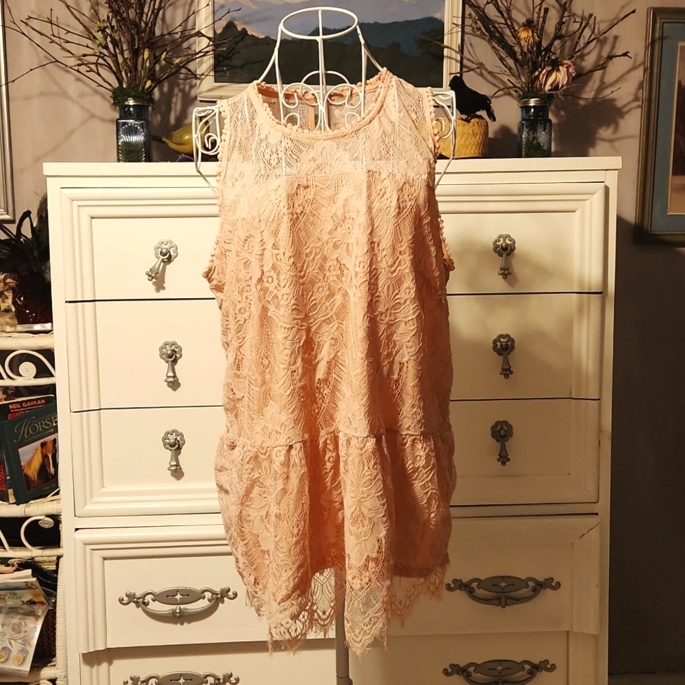 Balletcore Cottagecore Blush Pink Lace Sleeveless Tunic